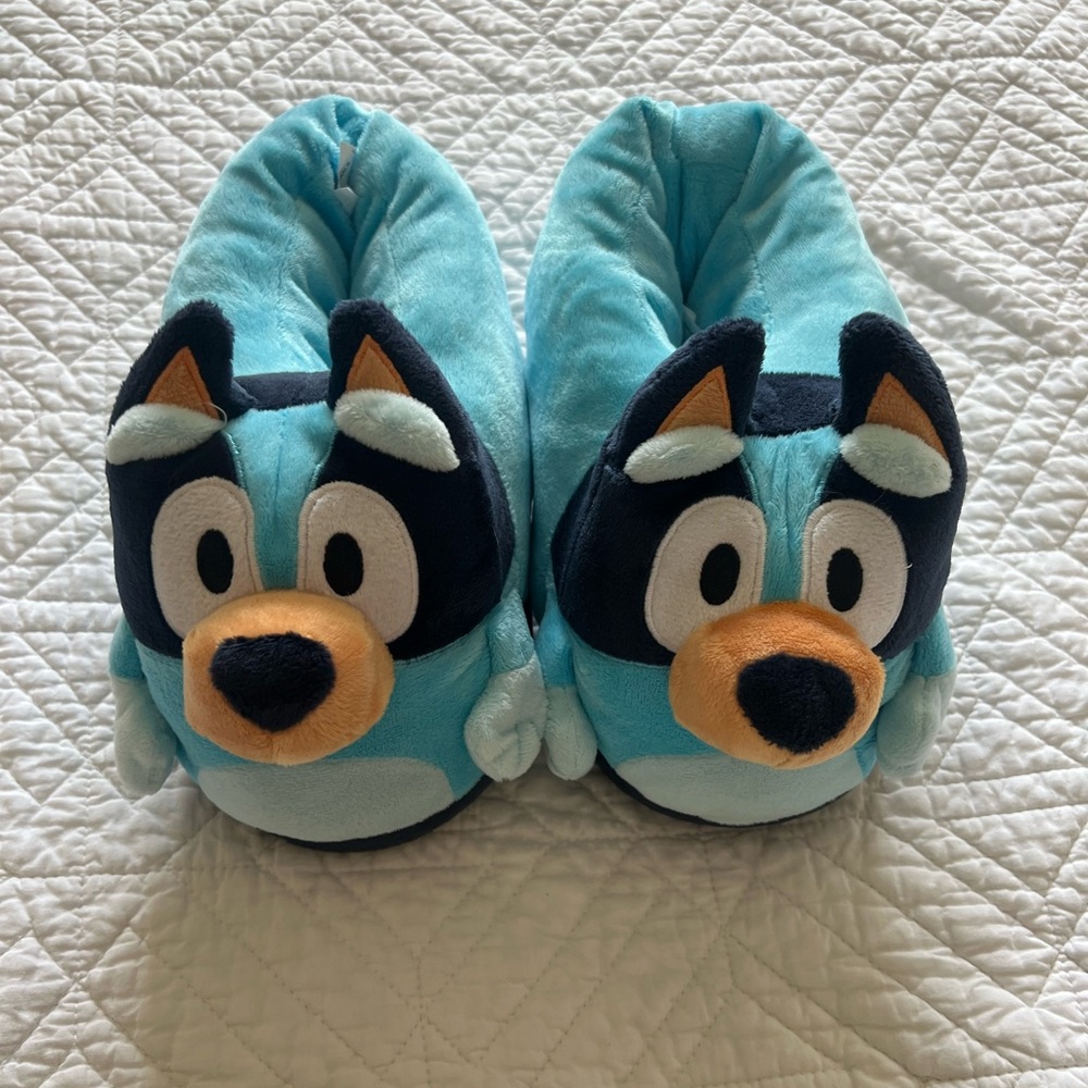 NWOT Bluey Slippers